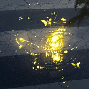 负载(Prod EVOMUSIC)