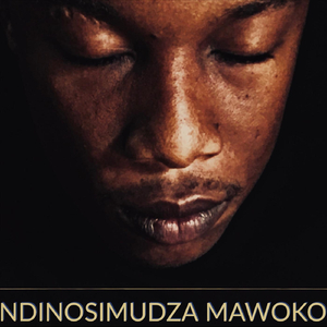 Ndinosimudza Mawoko