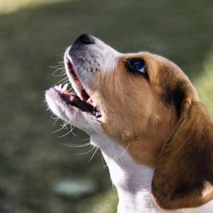 おやつの時間だよ！