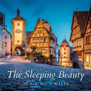 The Sleeping Beauty, Op. 66a:No. 5, Waltz