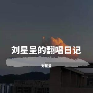 可惜不是你(翻自 曹轩宾）