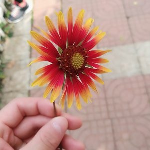 风尘归辙