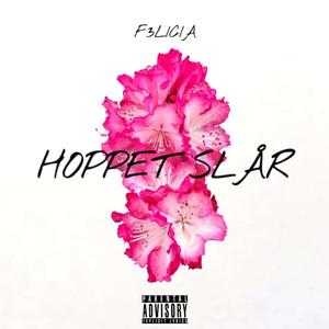 HOPPET SLÅR