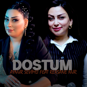 Dostum