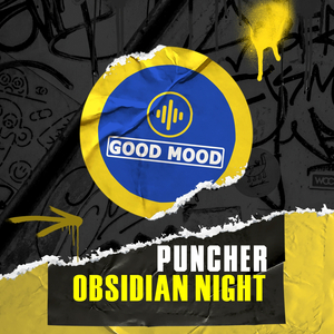 Obsidian Night