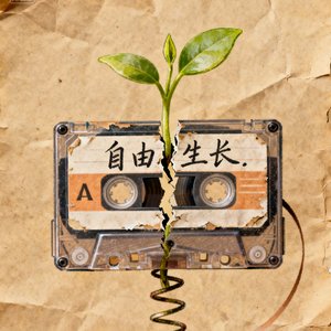 高山上的梅