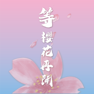 等樱花再开
