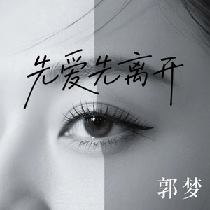 先爱先离开