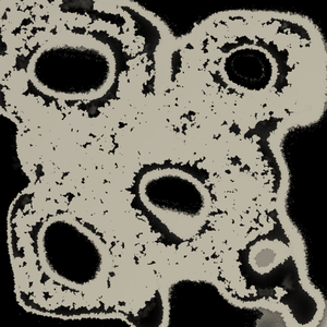 The Second Floor Queen