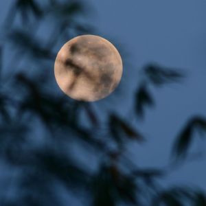 今晚月亮不营业