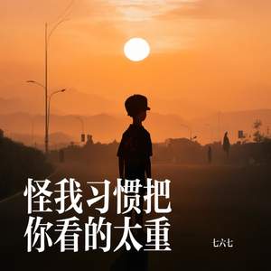 怪我习惯把你看的太重