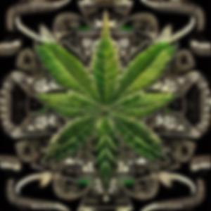 WeedMan (feat. Pandellic)