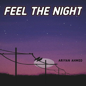 FeeL The Night