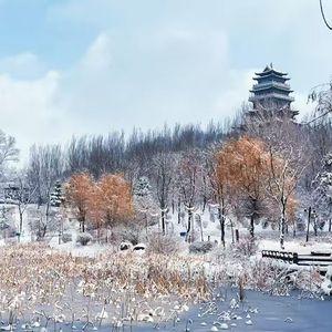 我在四平很想你