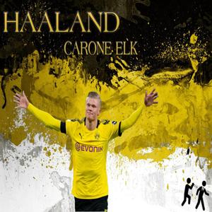 Haaland