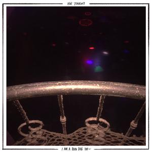 For I Am A Rain Dog Too...