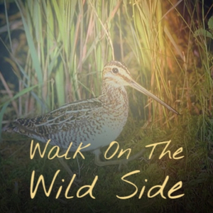 Baby Please Come Home