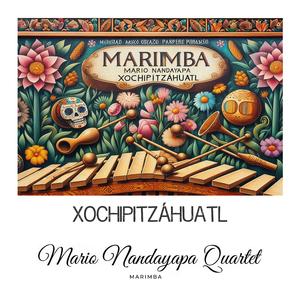 Xochipitzáhuatl (Flor Menudita) (feat. Mario Nandayapa Quartet) (Marimba version)
