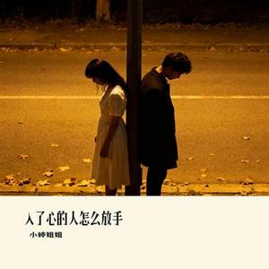 入了心的人怎么放手 (Cover 烟嗓超哥)