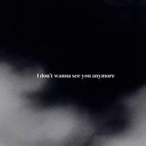 I Don’t Wanna See You Anymore