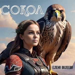 Сокол