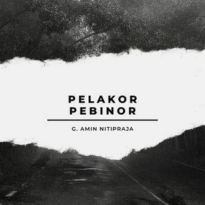 Pelakor Pebinor