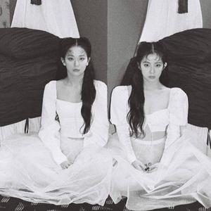 Monster（翻自 RV小分队）