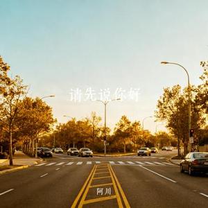 请先说你好 (Cover 贺一航)