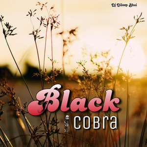 Black Cobra (Dj Dileep Bhai Remix)