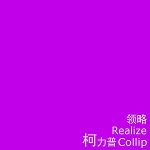领略