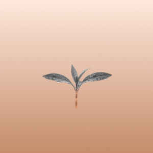 வாழ்ந்துக்கோ (Demo)