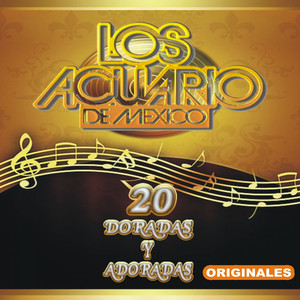 Ni Todo El Amor Ni Todo El Dinero