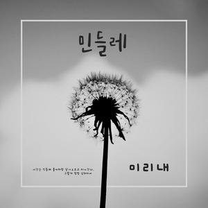 민들레