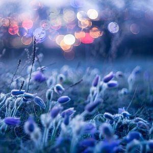 前世今生 （ceru_major remix pt1）