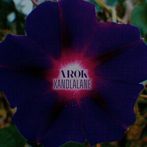 Arok!