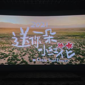 送你一朵小红花（ukulele弹唱版）