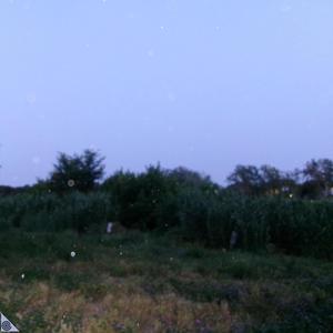 la canzone della B