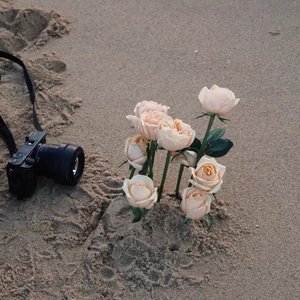 讨好（翻自张韶涵）（翻自 张韶涵网易云资讯台）