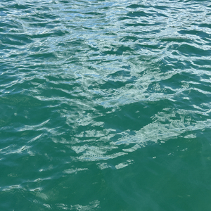 玉珍（cover：福禄寿）