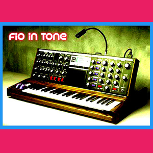 FIO IN TONE DJ ELECTRONIC, Vol. 8