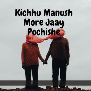 Kichhu Manush More Jaay Pochishe