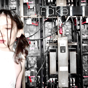 Fake