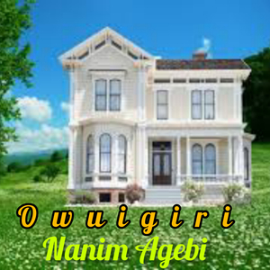 Nanim Agebi