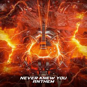 Never Knew You