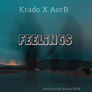 Feelings