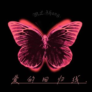 爱的回归线remix