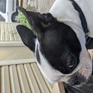 A Film About Time Travel Set In The 80's