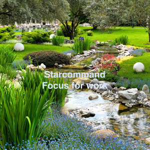Starcommand (Focus for Work)