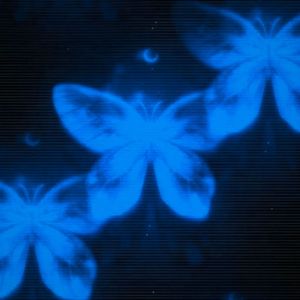 蓝蝴蝶（Prod.John x）