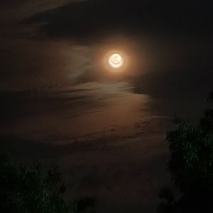 明月夜光